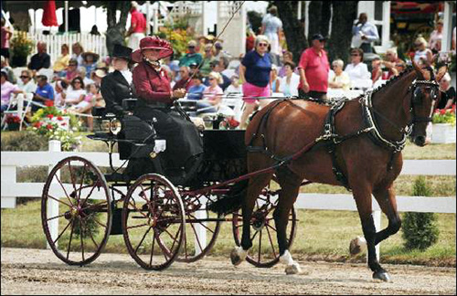 8 pittsford carriage hors 500