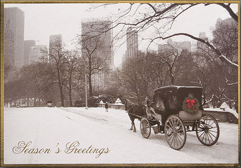 central park new york winter. central park new york at